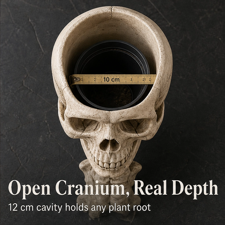 Vertebloom – Gothic Skull &amp; Spine Statement Planter for Year-Round Decor + 50% OFF