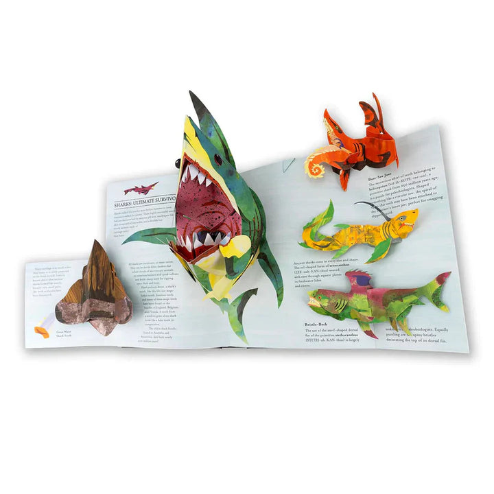 THE DINOSAUR MIND-IGNITER: UNLEASH GENIUS, IGNITE MEMORY + 50% OFF