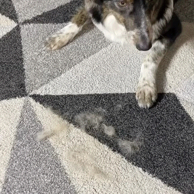 The FurGrip Grooming Gloves - Pet Hair Off in One Swipe +  1+1 FREE
