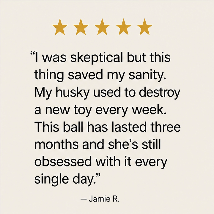Frisk – Self-Moving Chase Ball for Small Dogs &amp; Puppies, USB-C Rechargeable LED Pet Toy + 50% OFF