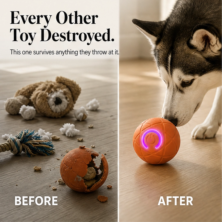 Frisk – Self-Moving Chase Ball for Small Dogs &amp; Puppies, USB-C Rechargeable LED Pet Toy + 50% OFF