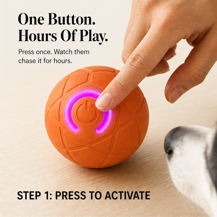 Frisk – Self-Moving Chase Ball for Small Dogs &amp; Puppies, USB-C Rechargeable LED Pet Toy + 50% OFF
