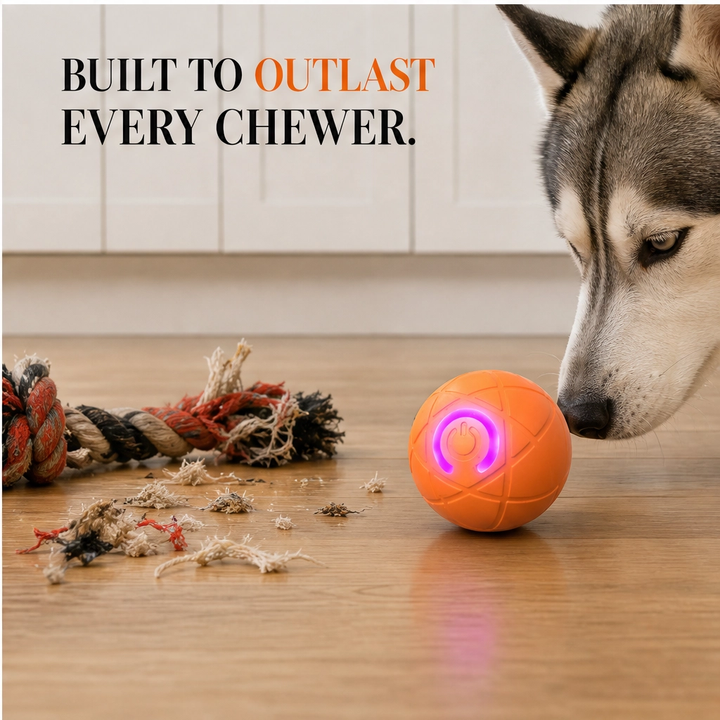 Frisk – Self-Moving Chase Ball for Small Dogs &amp; Puppies, USB-C Rechargeable LED Pet Toy + 50% OFF