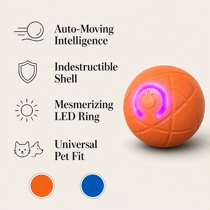 Frisk – Self-Moving Chase Ball for Small Dogs &amp; Puppies, USB-C Rechargeable LED Pet Toy + 50% OFF