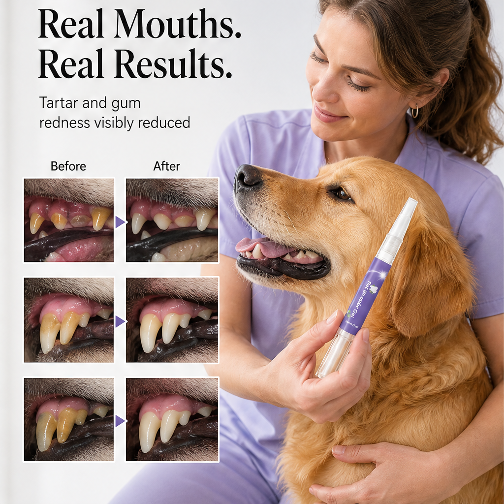 Cavora – No-Brush Tartar &amp; Plaque Remover Pet Oral Repair Gel + 50% OFF features
