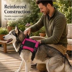 Steadfang – Reinforced Oxford Fabric Dog Harness Vest with Grab Handle + 50% OFF