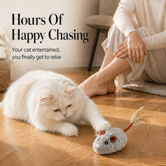 Whiskerdash – Auto-Roaming Sensor Mouse Interactive Cat Toy + 50% OFF