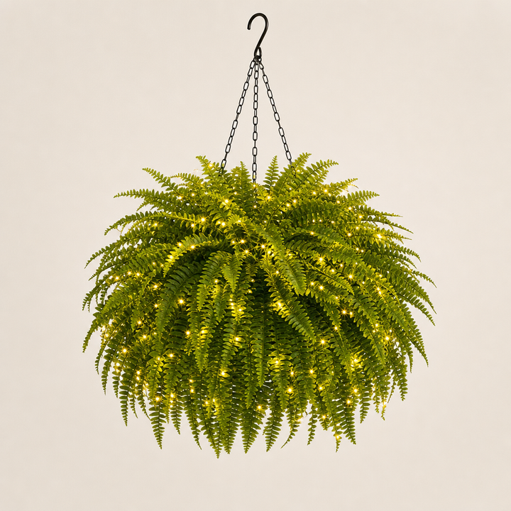 Fernglow – Lit Boston Fern, No Watering Hanging Plant + 50% OFF Green