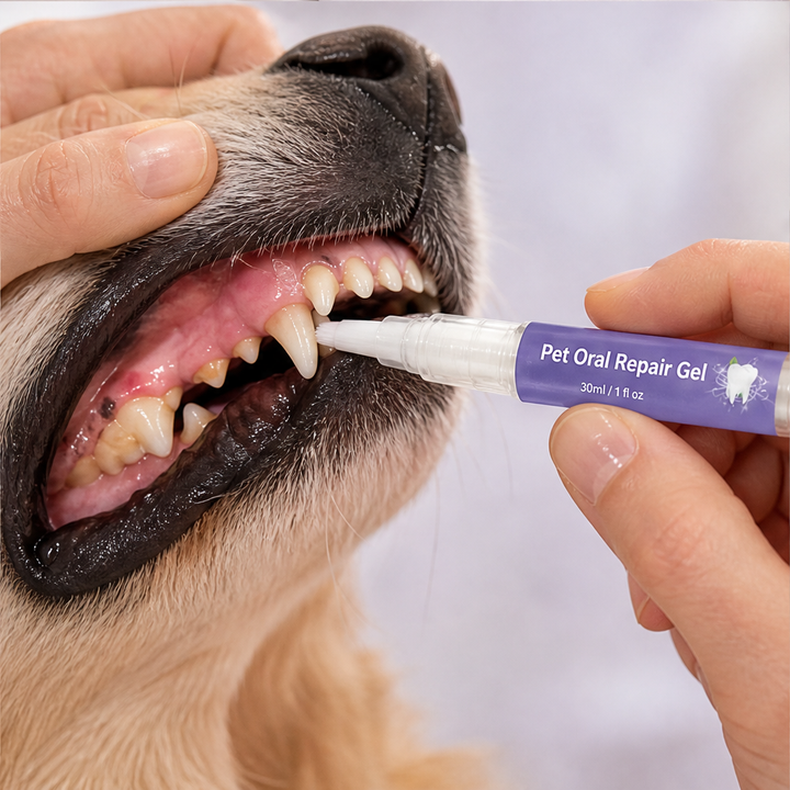 Cavora – No-Brush Tartar &amp; Plaque Remover Pet Oral Repair Gel + 50% OFF lifestyle