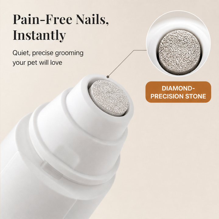 Pawsera – Whisper-Quiet Painless Electric Pet Nail Grinder + 50% OFF features