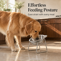 TiltEase – 15° Tilted Elevated Anti-Vomit Stainless Steel Feeding Bowl + 50% OFF