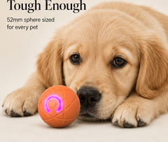 Romperoll – Auto-Bouncing Chew-Resistant Interactive Pet Ball + 50% OFF