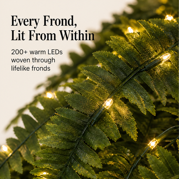 Fernglow – Lit Boston Fern, No Watering Hanging Plant + 50% OFF detail