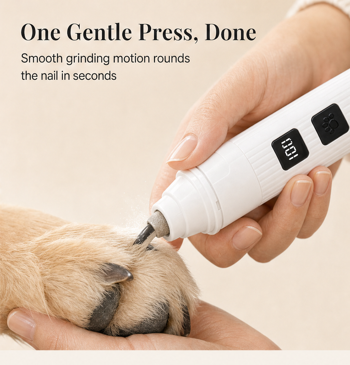 Pawsera – Whisper-Quiet Painless Electric Pet Nail Grinder + 50% OFF detail