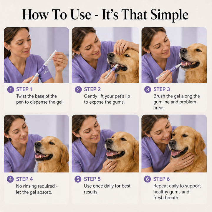 Cavora – No-Brush Tartar &amp; Plaque Remover Pet Oral Repair Gel + 50% OFF detail