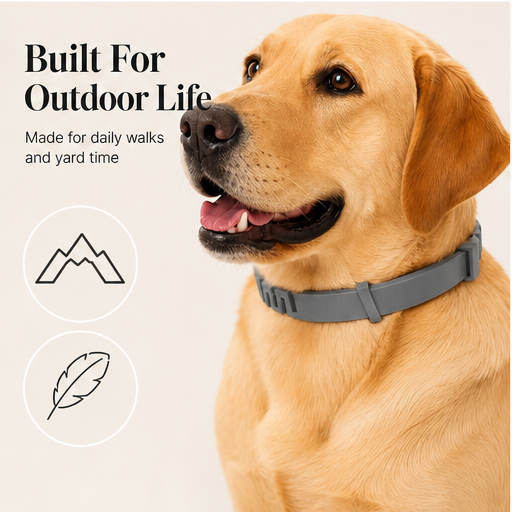 Guardpaw – Adjustable Weatherproof Flea &amp;amp; Tick Collar for Dogs &amp;amp; Cats features