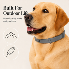 Guardpaw – Adjustable Weatherproof Flea & Tick Collar for Dogs & Cats