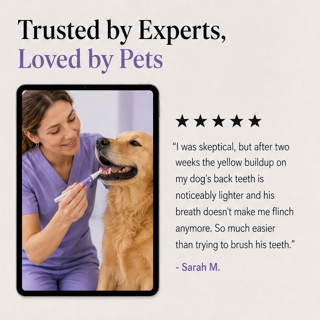 Cavora – No-Brush Tartar &amp; Plaque Remover Pet Oral Repair Gel + 50% OFF detail