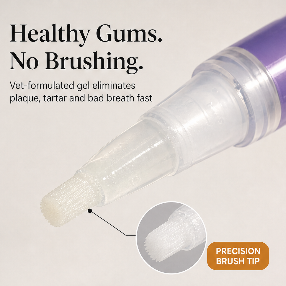 Cavora – No-Brush Tartar &amp; Plaque Remover Pet Oral Repair Gel + 50% OFF features
