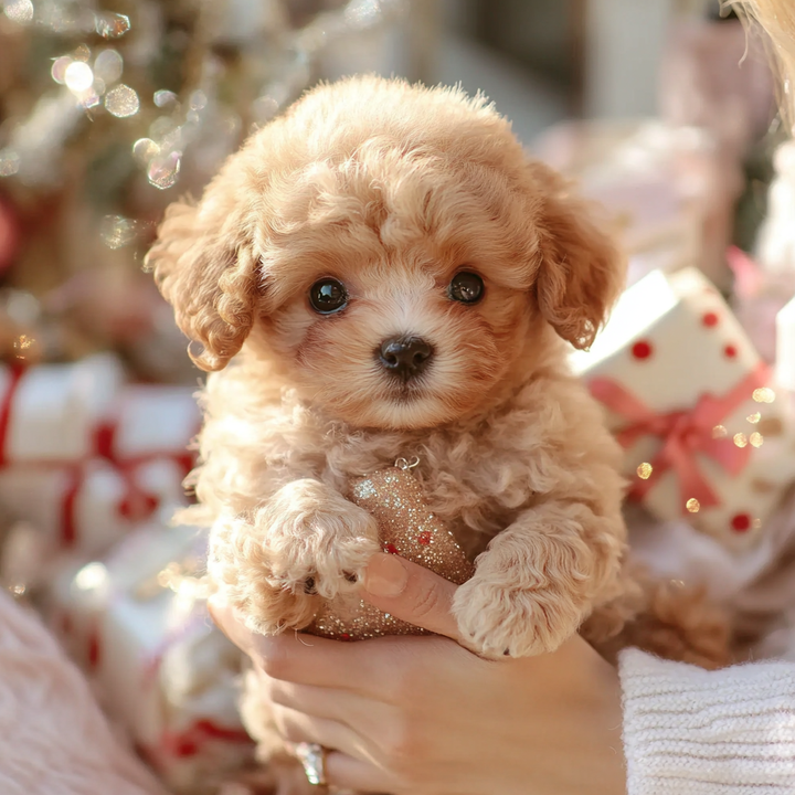 Nicco - My Realistic Robot Puppy - The Perfect Companion, No Mess +50% OFF