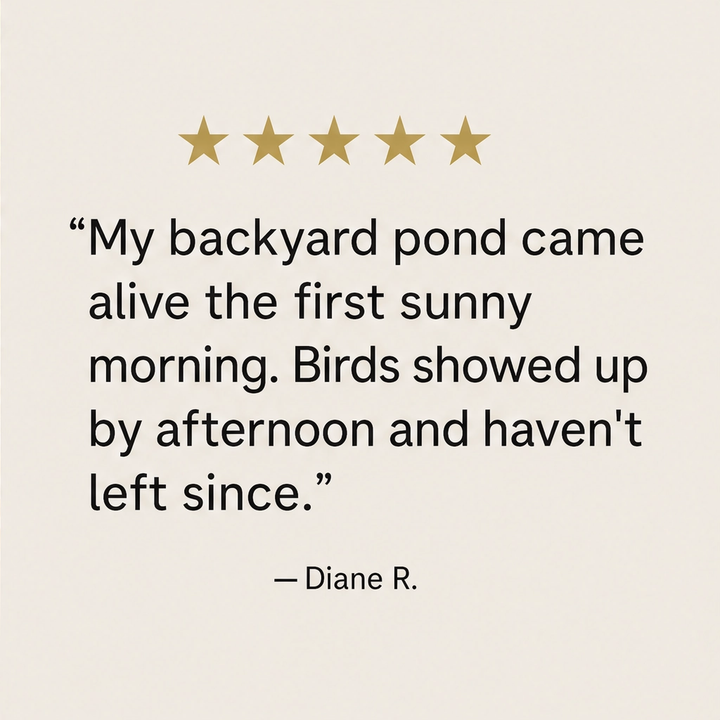 Wrenbrook – Anti-Drift Solar Fountain Pump for Birdbaths &amp; Ponds + 50% OFF